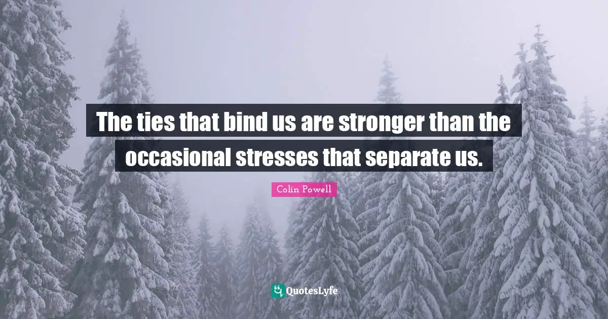 Ties That Bind Quotes: "The ties that bind us are stronger than the occasional stresses that separate us."
