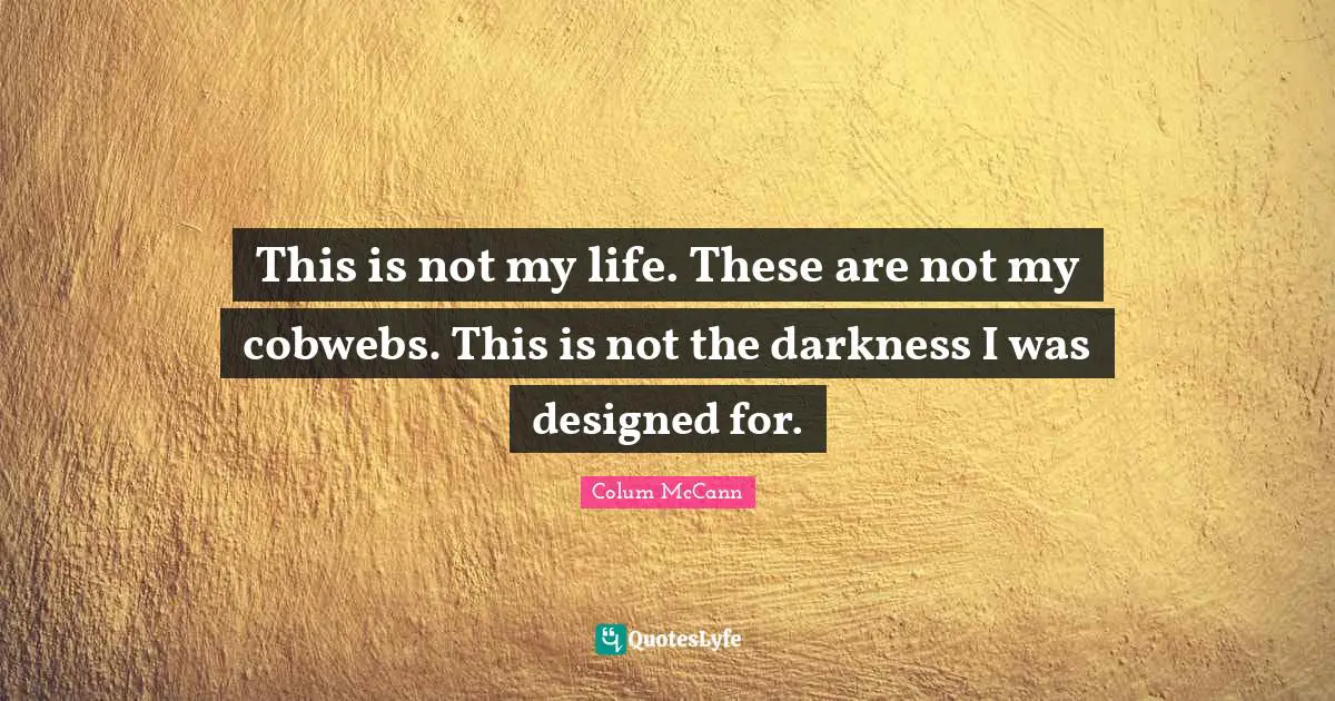 This is not my life. These are not my cobwebs. This is not the darkness I was designed for.