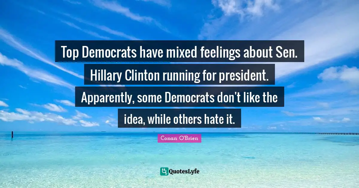 Top Democrats have mixed feelings about Sen. Hillary Clinton running for president. Apparently, some Democrats don't like the idea, while others hate it.