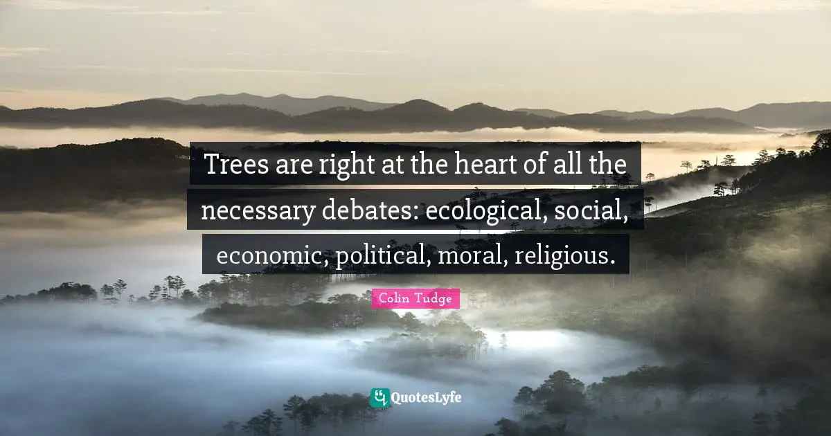 Trees are right at the heart of all the necessary debates: ecological, social, economic, political, moral, religious.