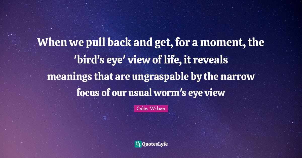When we pull back and get, for a moment, the 'bird's eye' view of life