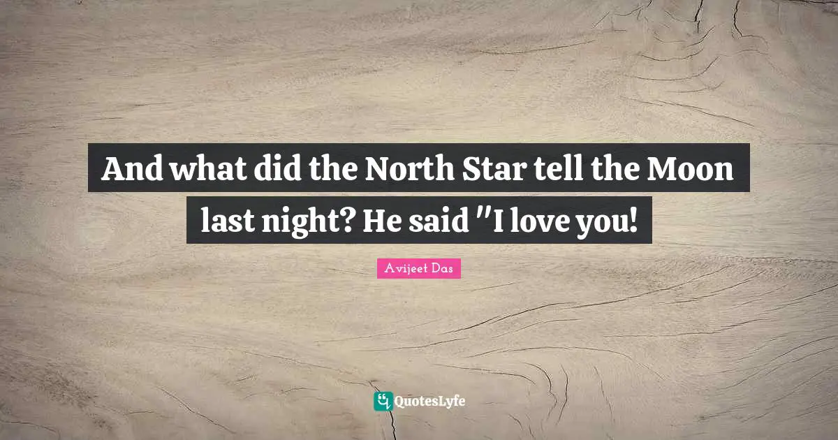 Love Is All You Need Quotes: "And what did the North Star tell the Moon last night? He said "I love you!"