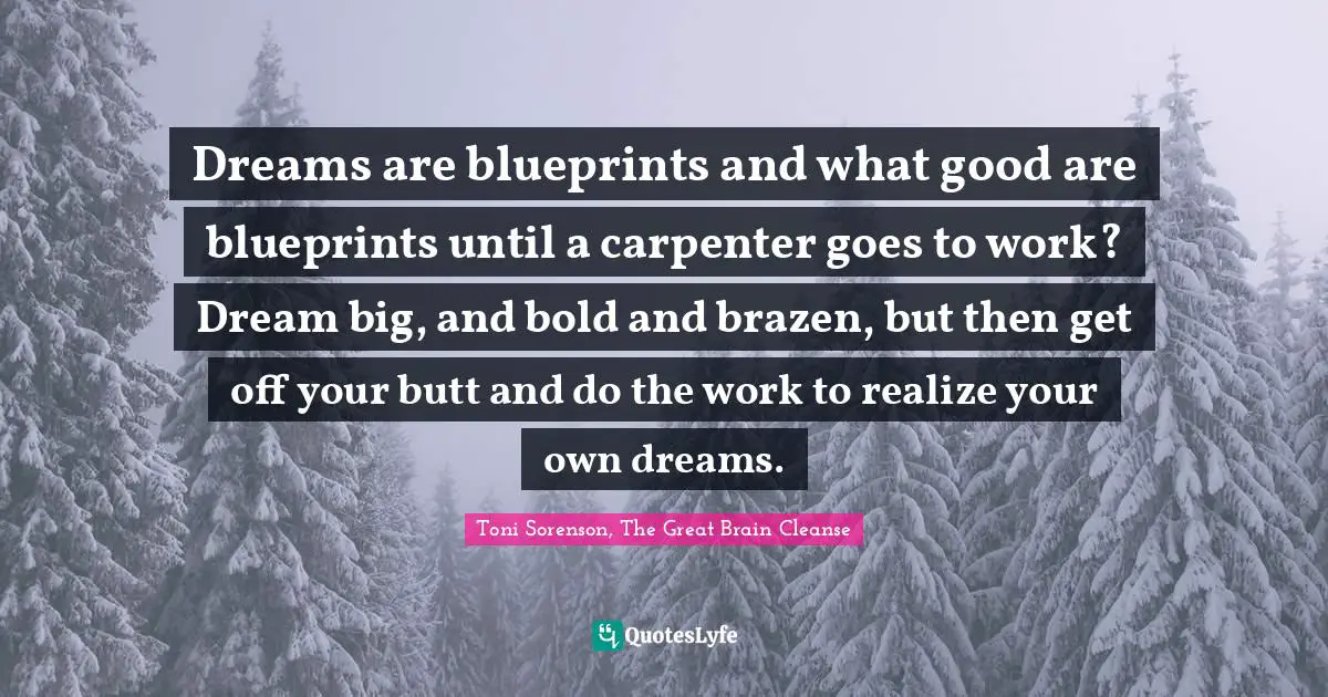 Toni Sorenson, The Great Brain Cleanse Quotes: "Dreams are blueprints and what good are blueprints until a carpenter goes to work? Dream big, and bold and brazen, but then get off your butt and do the work to realize your own dreams."