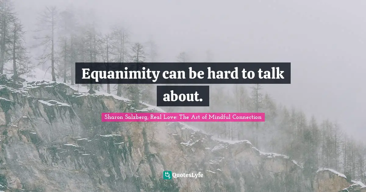 Equanimity can be hard to talk about.
