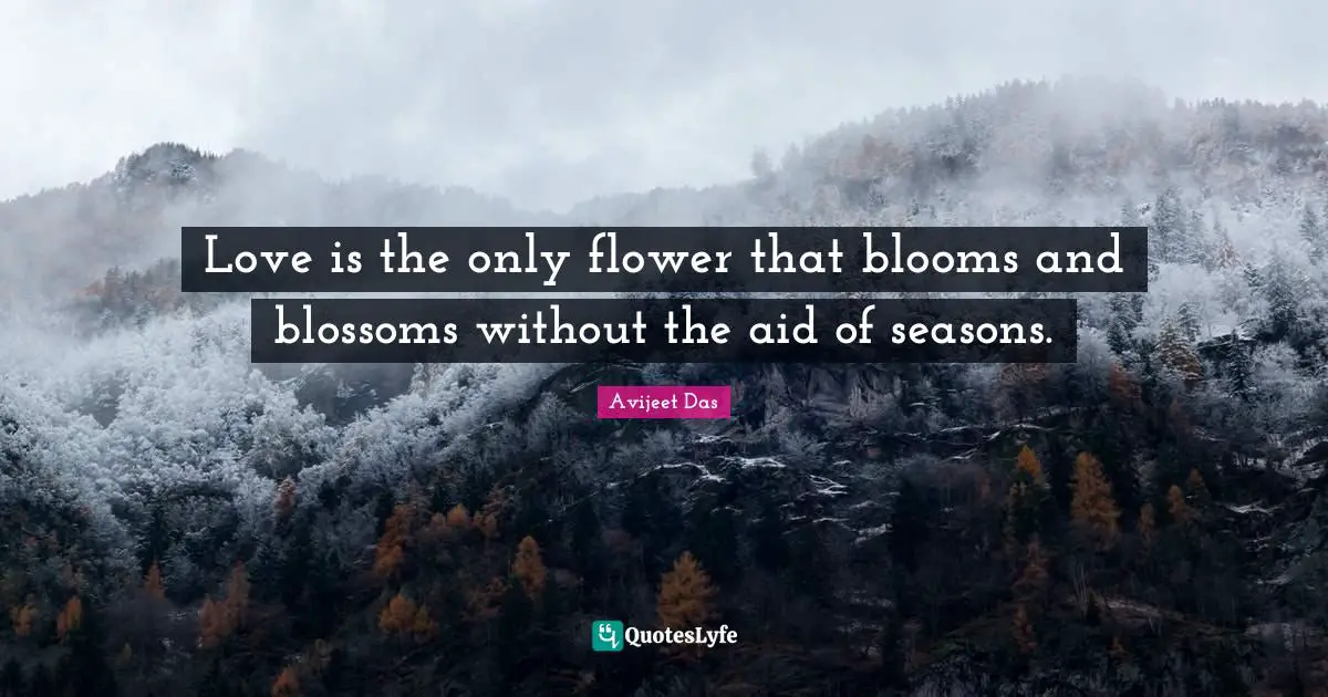 Blooms Quotes: "Love is the only flower that blooms and blossoms without the aid of seasons."