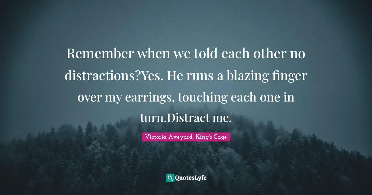Remember when we told each other no distractions?Yes. He runs a blazing finger over my earrings, touching each one in turn.Distract me.