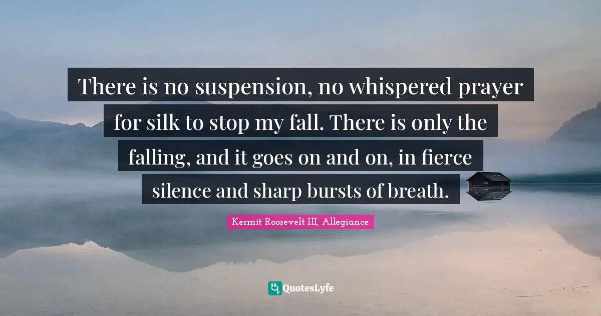 There is no suspension, no whispered prayer for silk to stop my fall. There is only the falling, and it goes on and on, in fierce silence and sharp bursts of breath.