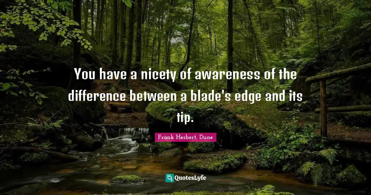 You have a nicety of awareness of the difference between a blade's edge and its tip.