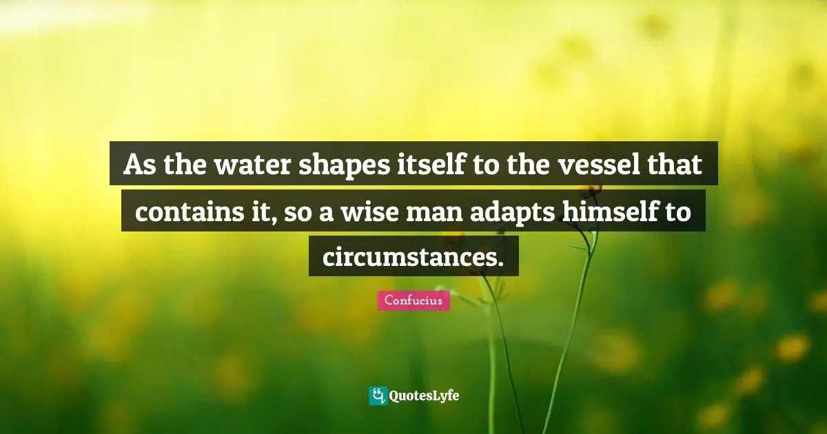 Vessel Quotes: "As the water shapes itself to the vessel that contains it, so a wise man adapts himself to circumstances."