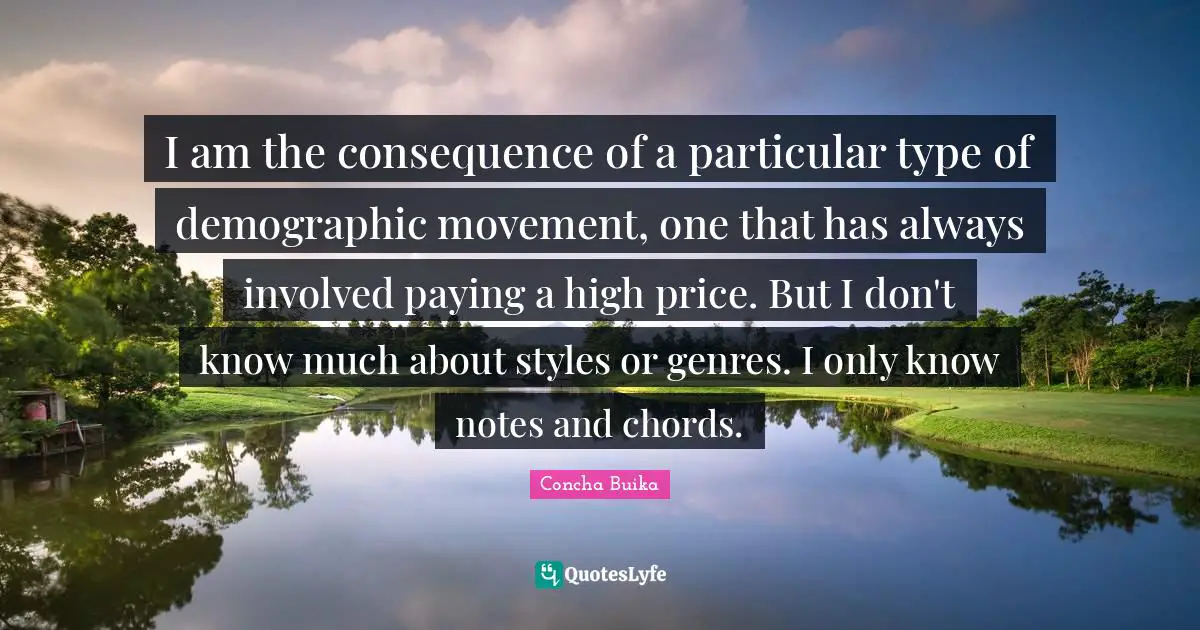 I am the consequence of a particular type of demographic movement, one that has always involved paying a high price. But I don't know much about styles or genres. I only know notes and chords.