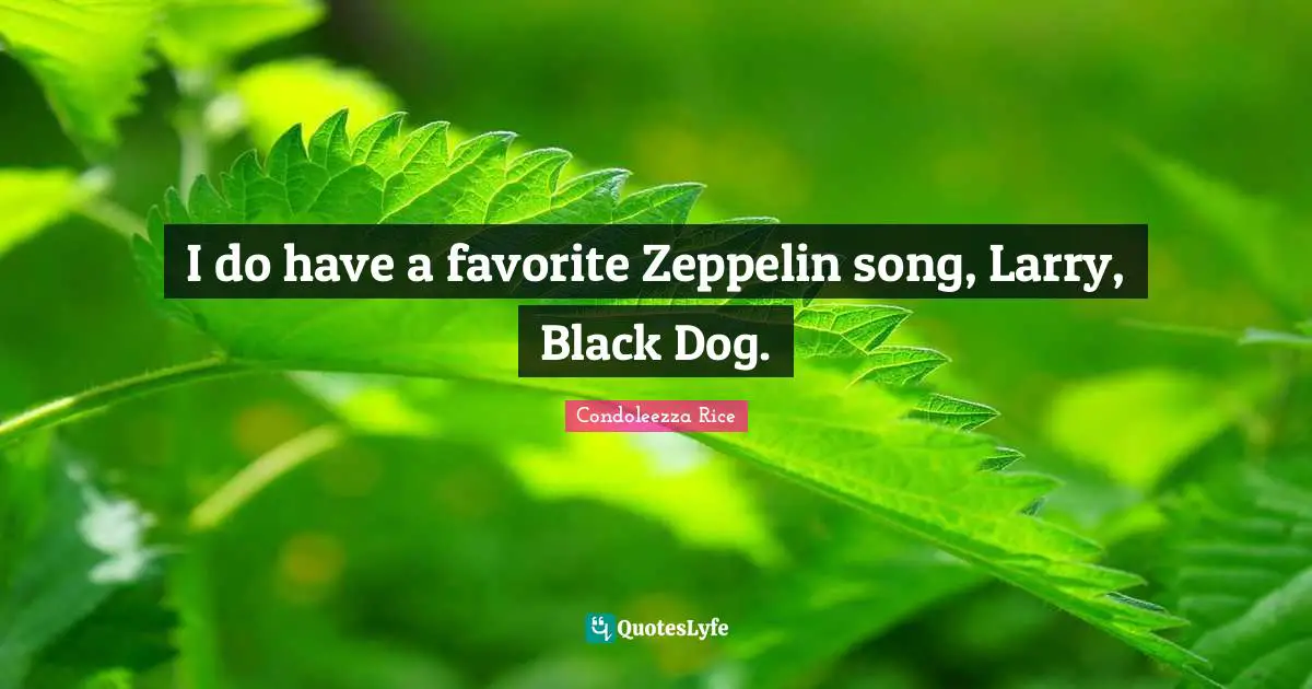 I do have a favorite Zeppelin song, Larry, Black Dog.