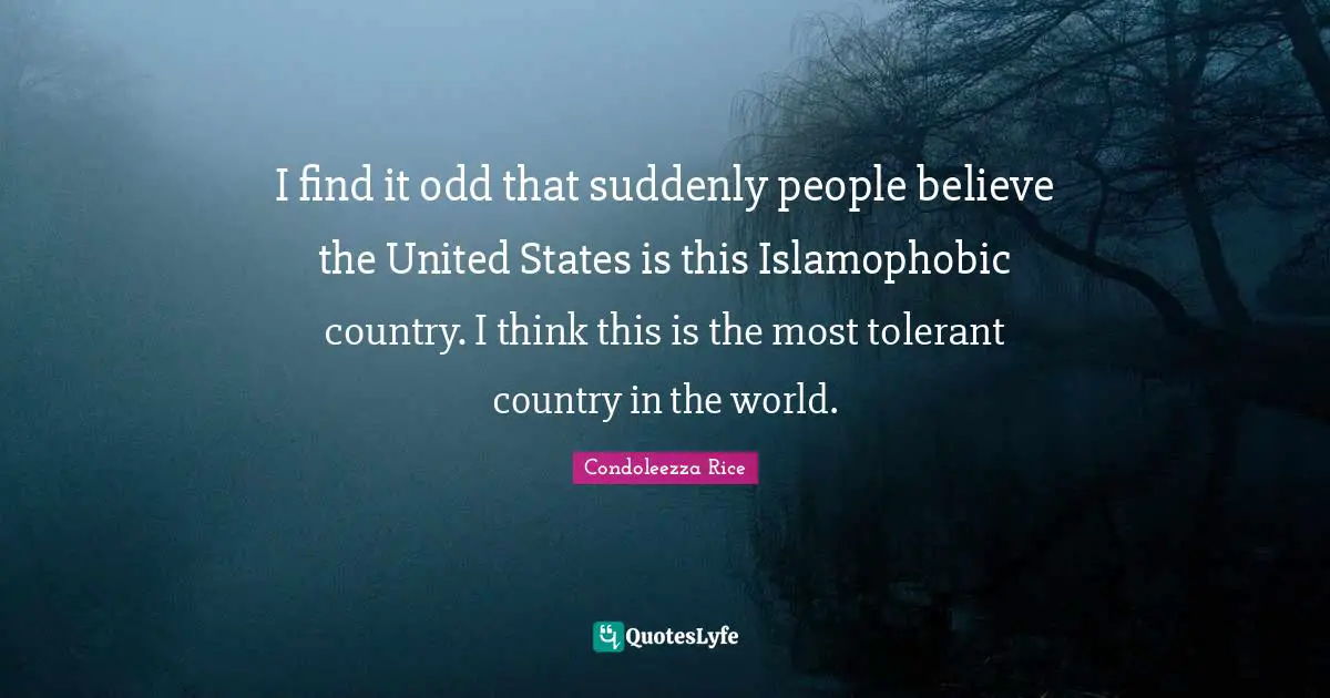 I find it odd that suddenly people believe the United States is this Islamophobic country. I think this is the most tolerant country in the world.