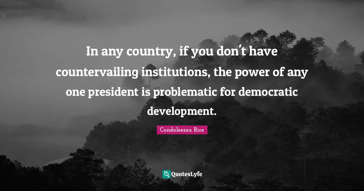 In any country, if you don't have countervailing institutions, the power of any one president is problematic for democratic development.