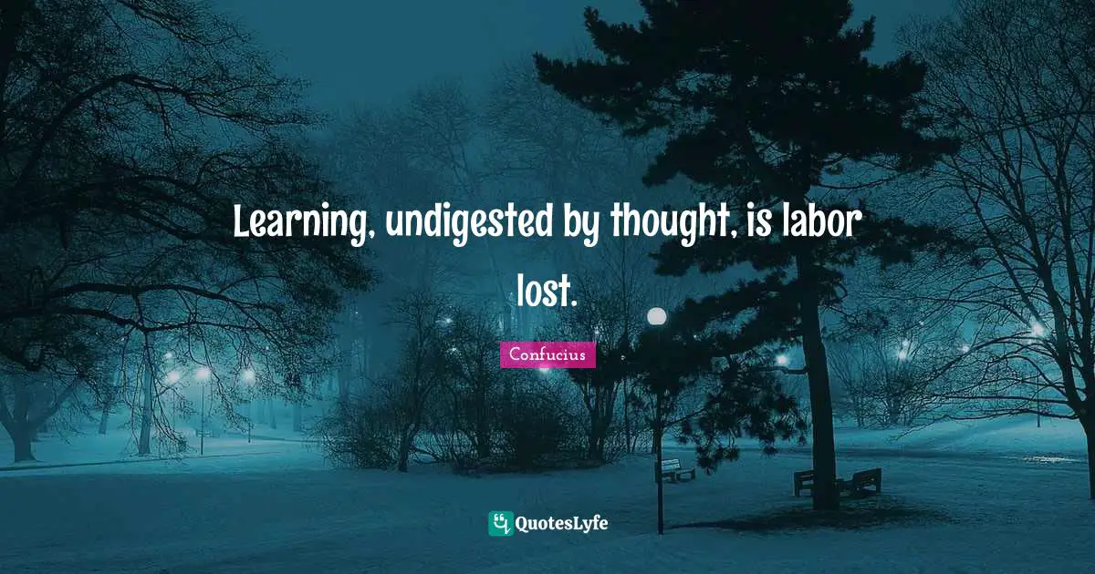 Learning, undigested by thought, is labor lost.