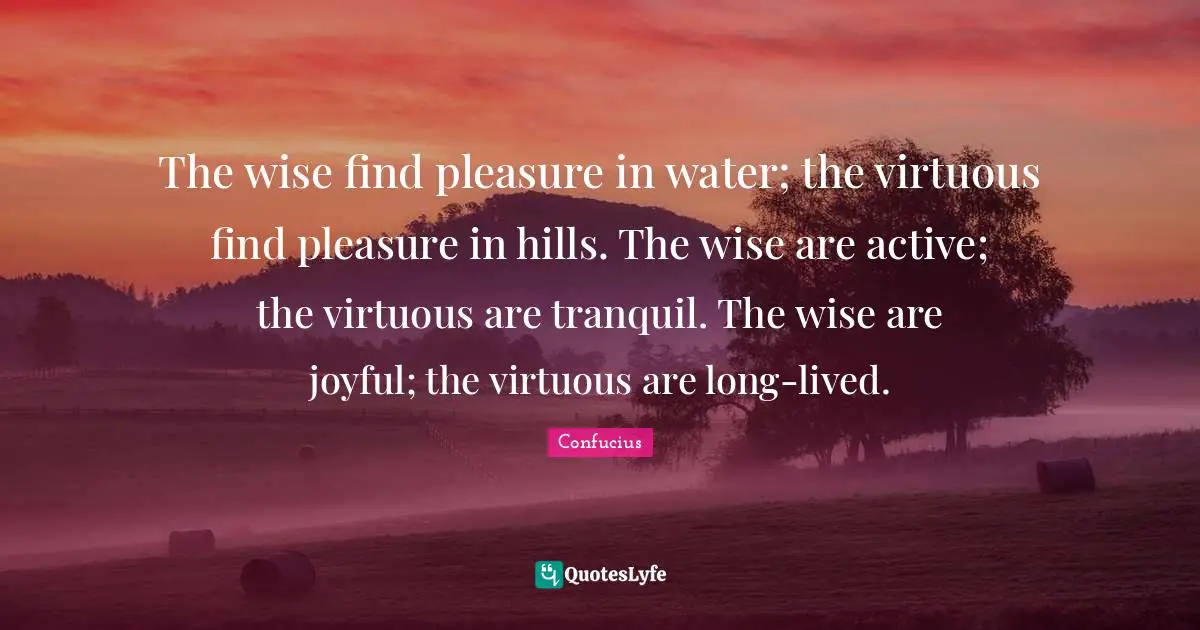 Joyful Quotes: "The wise find pleasure in water; the virtuous find pleasure in hills. The wise are active; the virtuous are tranquil. The wise are joyful; the virtuous are long-lived."