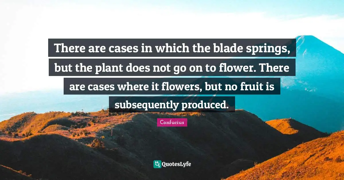 There are cases in which the blade springs, but the plant does not go on to flower. There are cases where it flowers, but no fruit is subsequently produced.