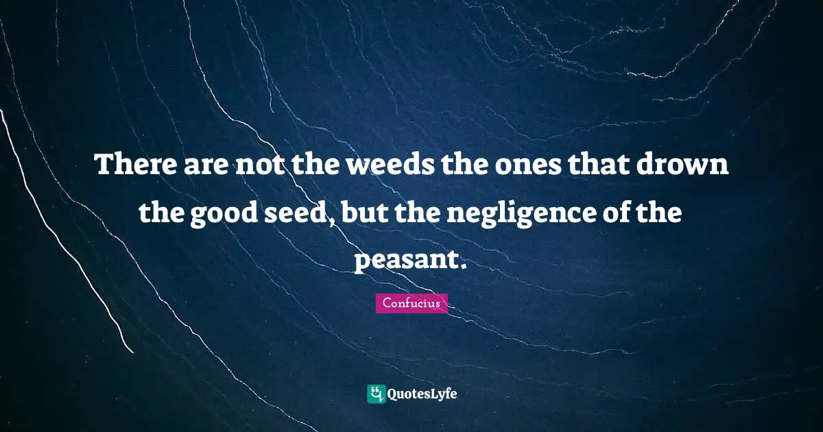 There are not the weeds the ones that drown the good seed, but the negligence of the peasant.