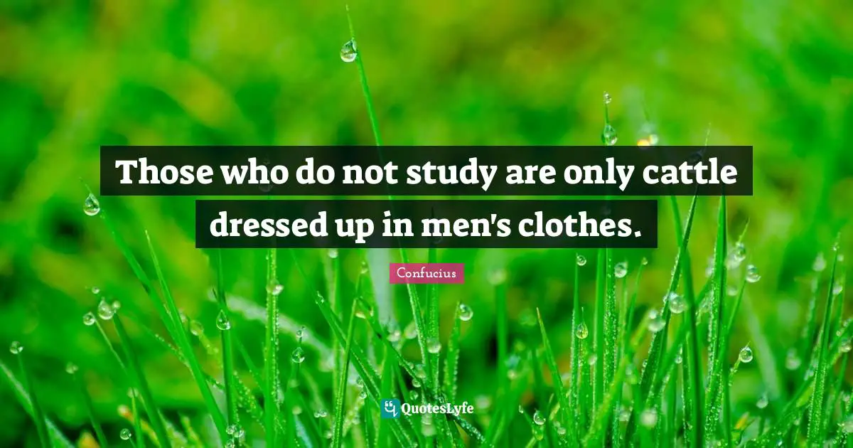 Dressed Quotes: "Those who do not study are only cattle dressed up in men's clothes."