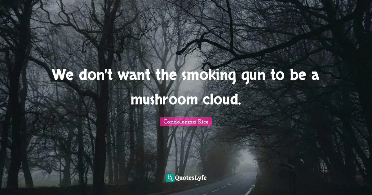 We don't want the smoking gun to be a mushroom cloud.