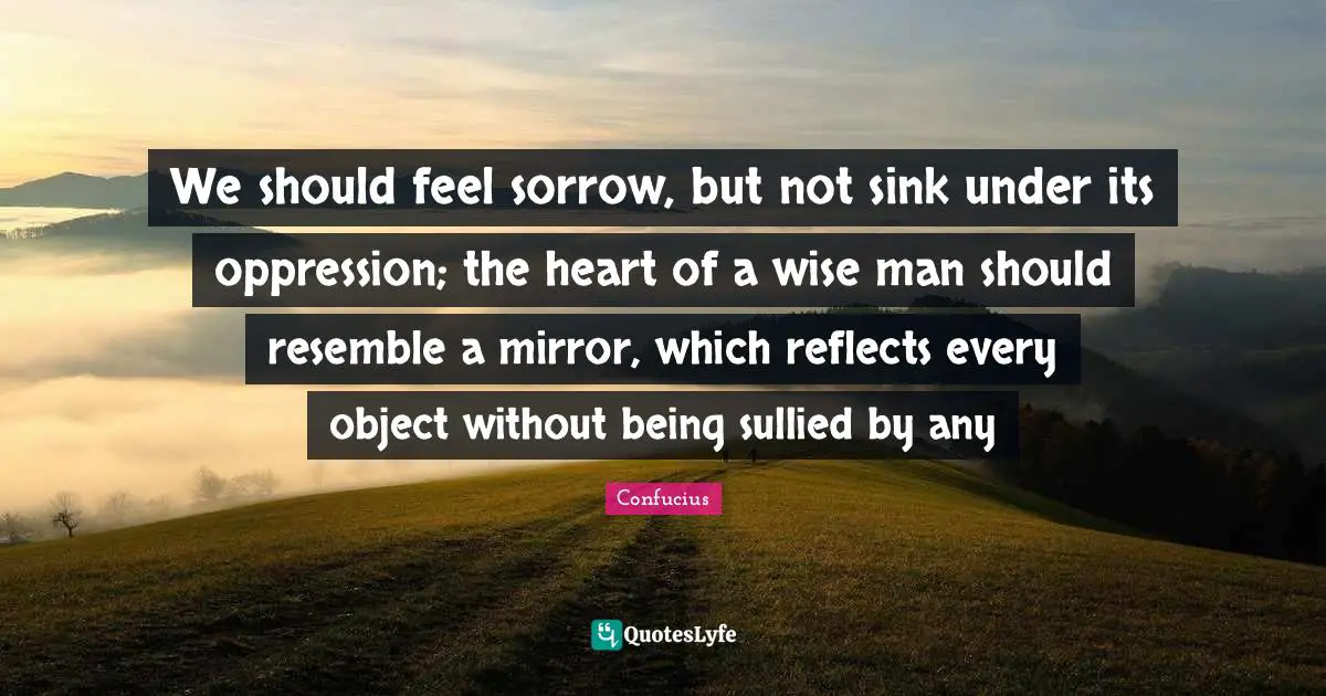We should feel sorrow, but not sink under its oppression; the heart of a wise man should resemble a mirror, which reflects every object without being sullied by any