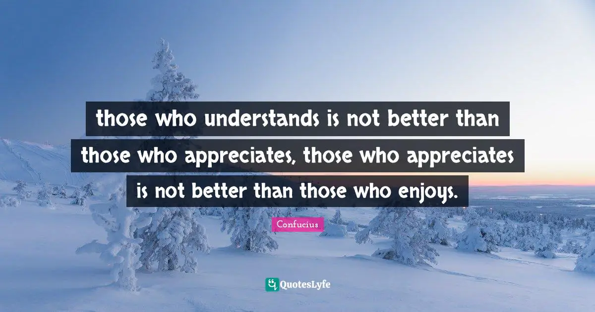 those who understands is not better than those who appreciates, those who appreciates is not better than those who enjoys.
