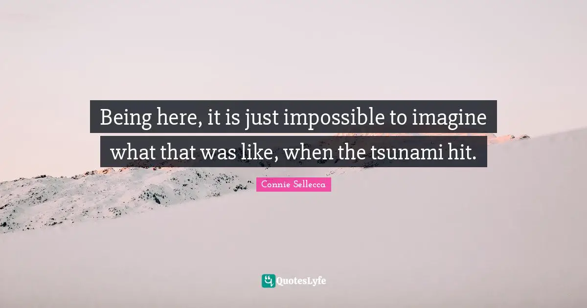 Tsunami Quotes: "Being here, it is just impossible to imagine what that was like, when the tsunami hit."