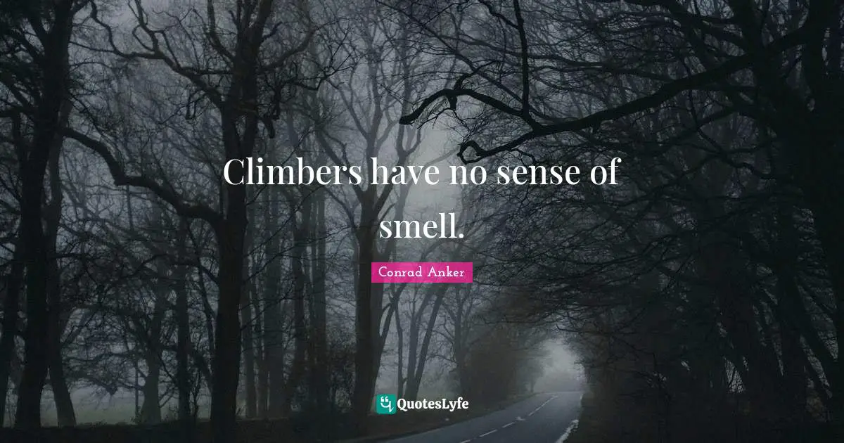 Conrad Anker Quotes: "Climbers have no sense of smell."
