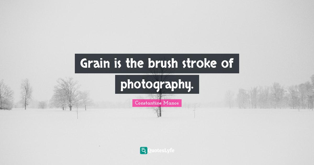 Brush Strokes Quotes: "Grain is the brush stroke of photography."
