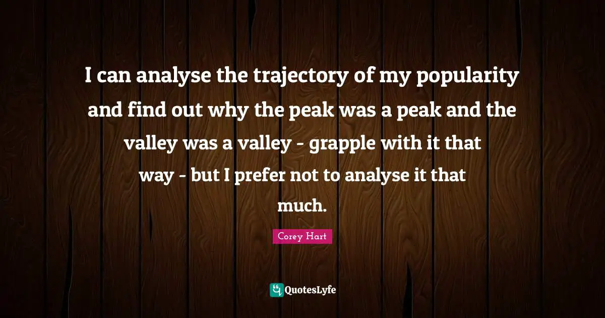 I can analyse the trajectory of my popularity and find out why the peak was a peak and the valley was a valley - grapple with it that way - but I prefer not to analyse it that much.