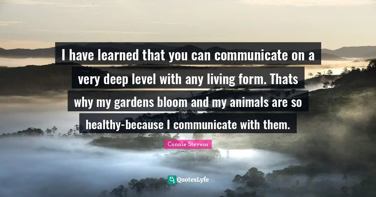I have learned that you can communicate on a very deep level with any living form. Thats why my gardens bloom and my animals are so healthy-because I communicate with them.
