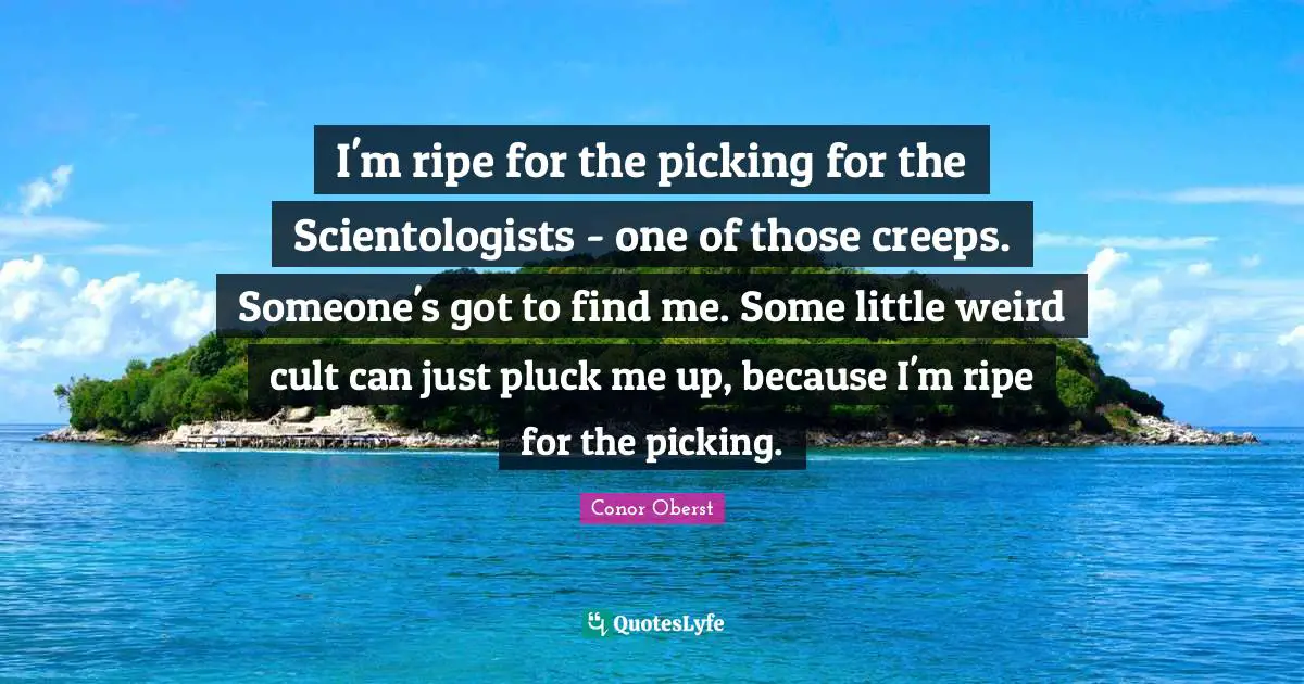 I'm ripe for the picking for the Scientologists - one of those creeps. Someone's got to find me. Some little weird cult can just pluck me up, because I'm ripe for the picking.