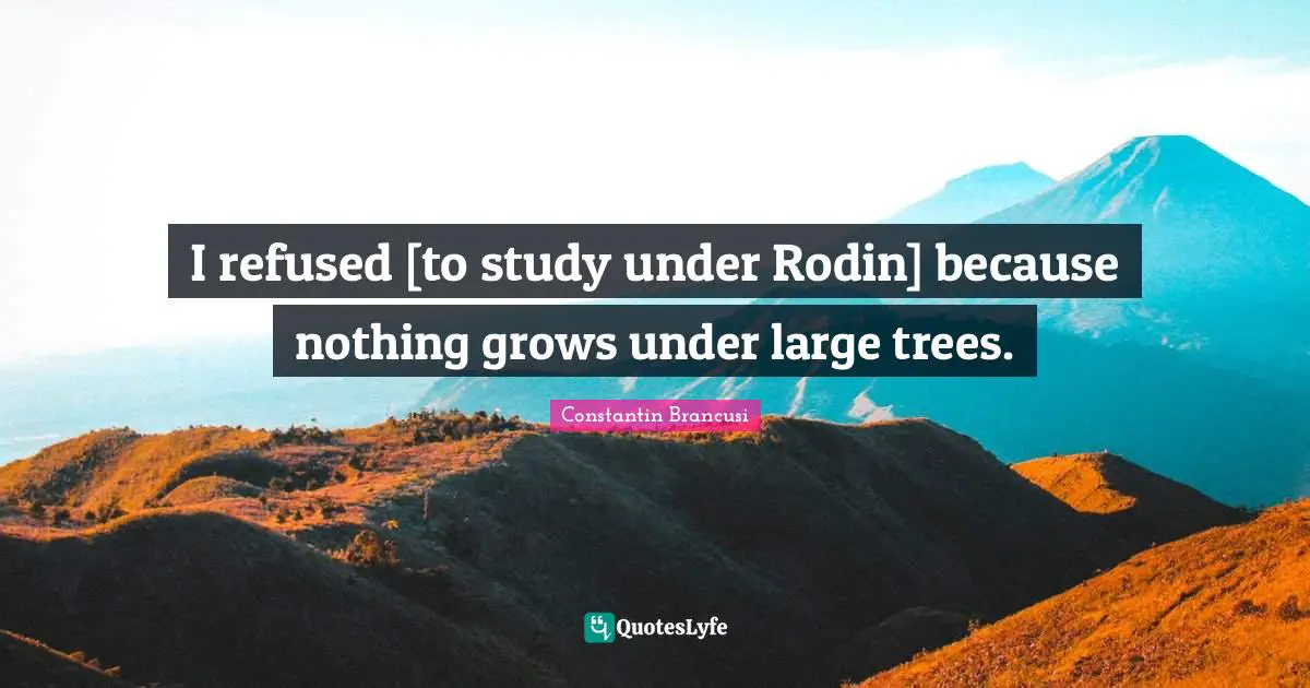 I refused [to study under Rodin] because nothing grows under large trees.