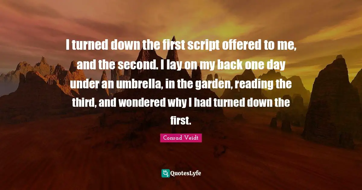I turned down the first script offered to me, and the second. I lay on my back one day under an umbrella, in the garden, reading the third, and wondered why I had turned down the first.