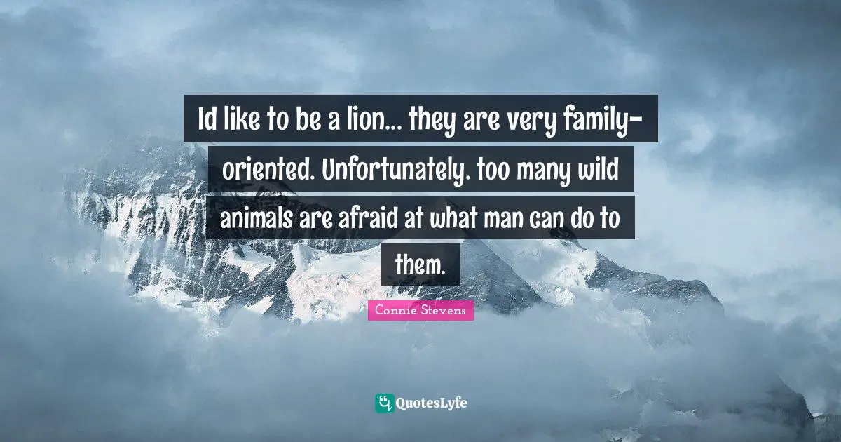 Id like to be a lion... they are very family-oriented. Unfortunately. too many wild animals are afraid at what man can do to them.