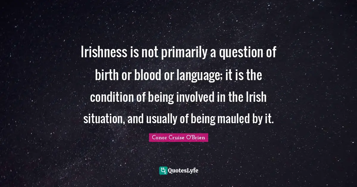 Irishness is not primarily a question of birth or blood or language; it is the condition of being involved in the Irish situation, and usually of being mauled by it.