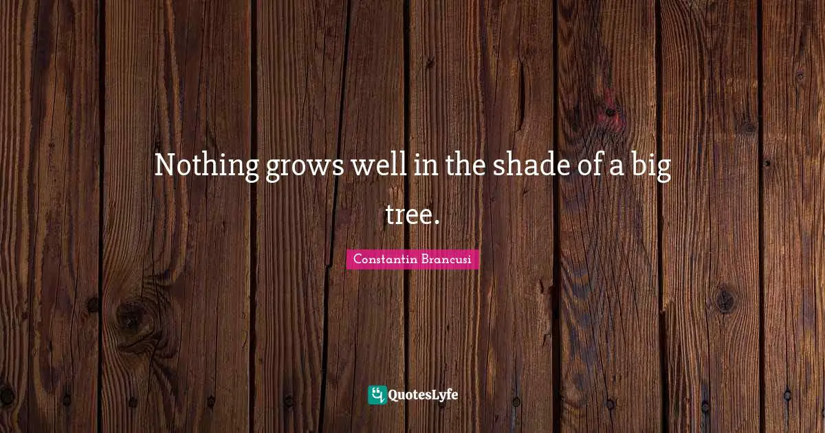 Nothing grows well in the shade of a big tree.