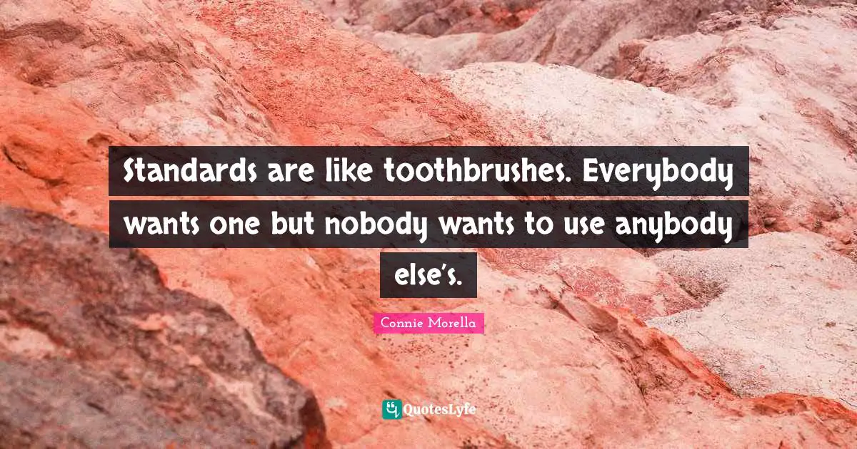Standards are like toothbrushes. Everybody wants one but nobody wants to use anybody else’s.