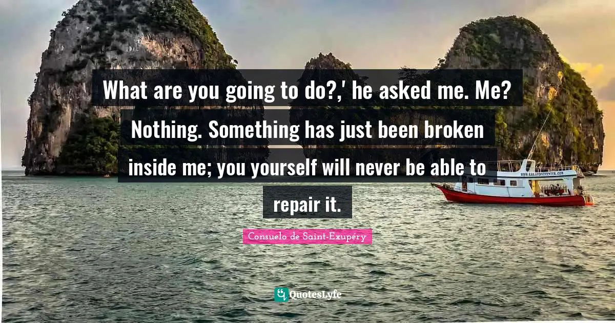 What are you going to do?,' he asked me. Me? Nothing. Something has just been broken inside me; you yourself will never be able to repair it.