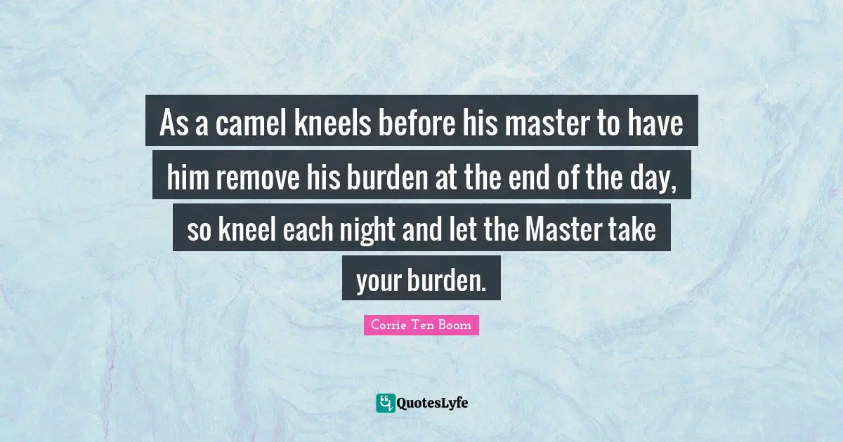 Camels Quotes: "As a camel kneels before his master to have him remove his burden at the end of the day, so kneel each night and let the Master take your burden."