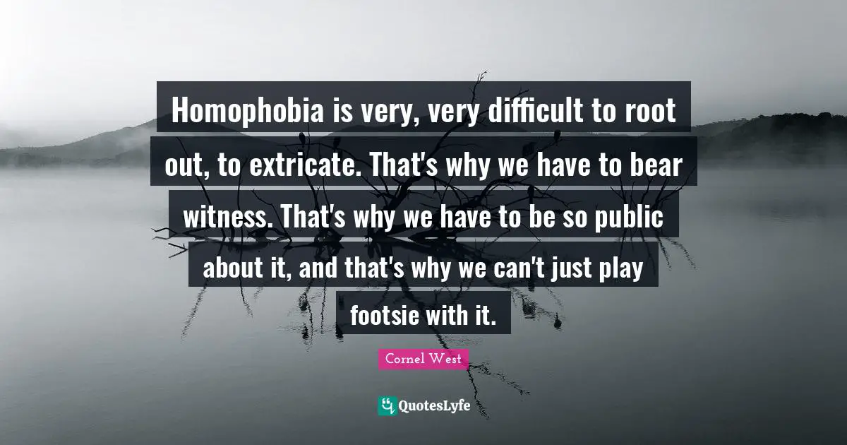 Homophobia is very, very difficult to root out, to extricate. That's why we have to bear witness. That's why we have to be so public about it, and that's why we can't just play footsie with it.