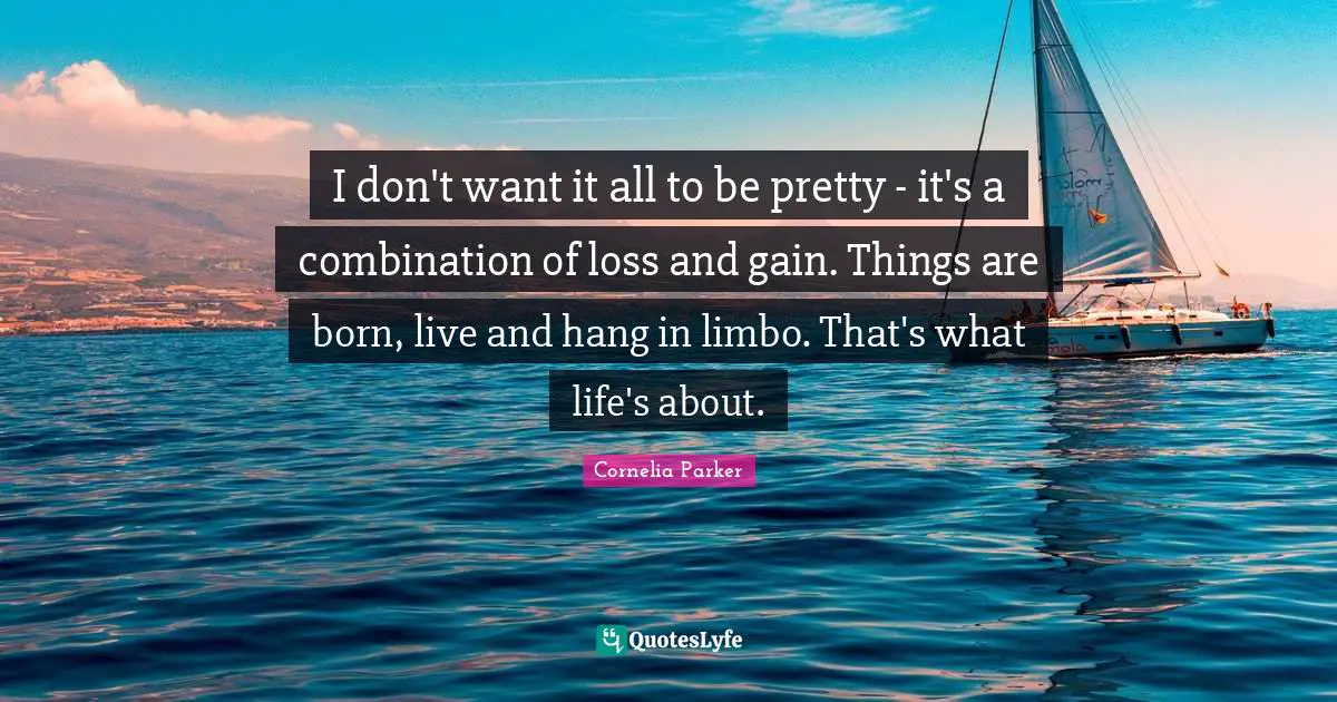 I don't want it all to be pretty - it's a combination of loss and gain. Things are born, live and hang in limbo. That's what life's about.