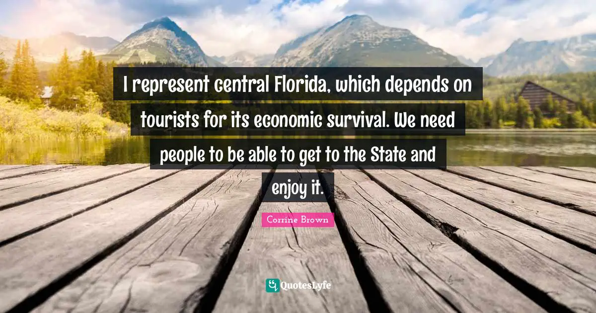 I represent central Florida, which depends on tourists for its economic survival. We need people to be able to get to the State and enjoy it.