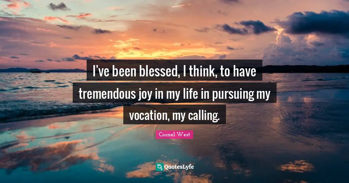I've been blessed, I think, to have tremendous joy in my life in pursuing my vocation, my calling.