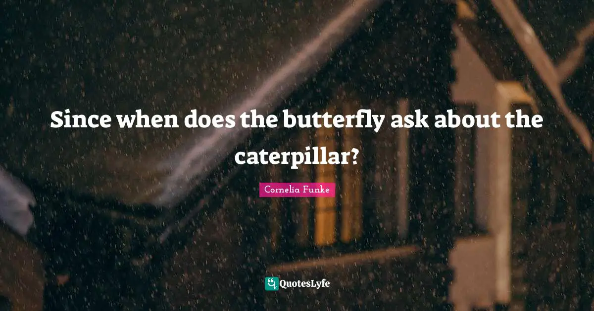 Since when does the butterfly ask about the caterpillar?