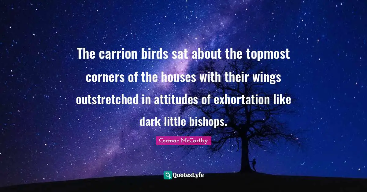 The carrion birds sat about the topmost corners of the houses with their wings outstretched in attitudes of exhortation like dark little bishops.