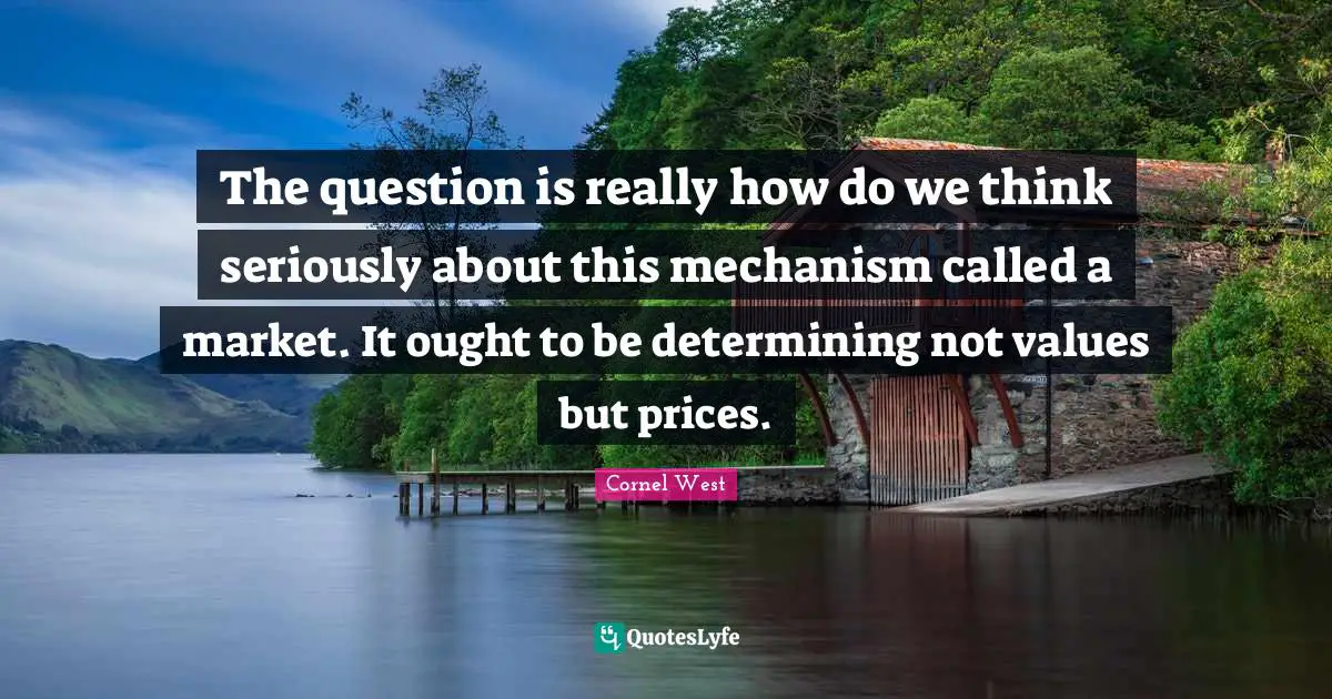 The question is really how do we think seriously about this mechanism called a market. It ought to be determining not values but prices.