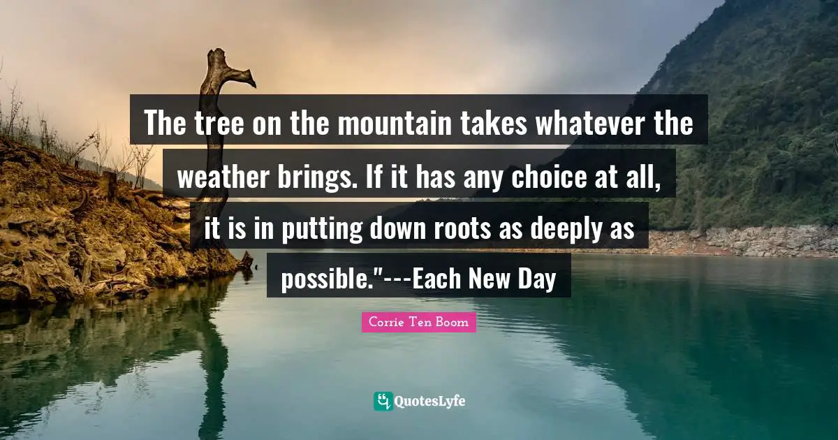 Weather Quotes: "The tree on the mountain takes whatever the weather brings. If it has any choice at all, it is in putting down roots as deeply as possible."---Each New Day"