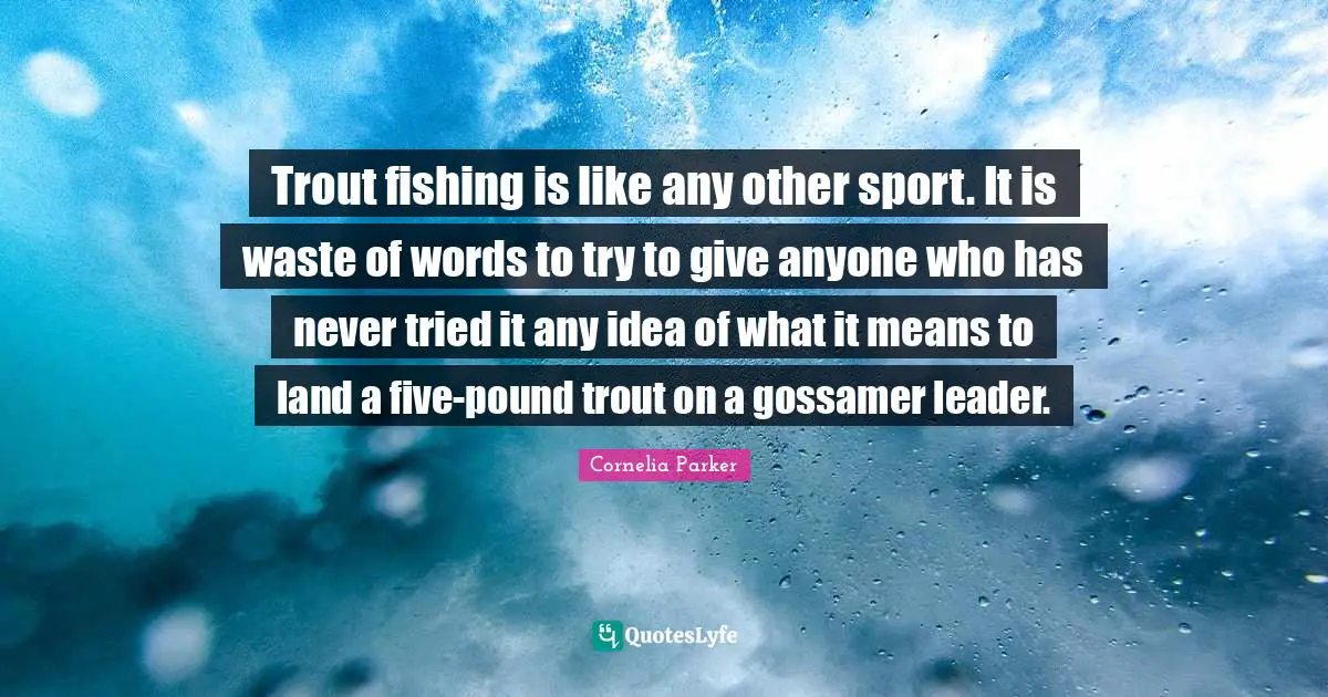 Trout fishing is like any other sport. It is waste of words to try to give anyone who has never tried it any idea of what it means to land a five-pound trout on a gossamer leader.