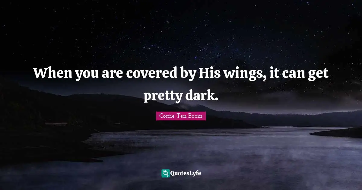 When you are covered by His wings, it can get pretty dark.