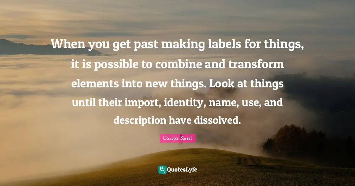 When you get past making labels for things, it is possible to combine and transform elements into new things. Look at things until their import, identity, name, use, and description have dissolved.